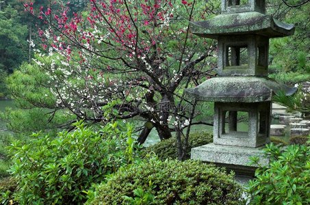 日本京都一座日本花园的石灯