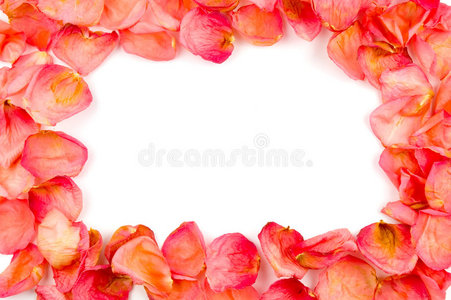 红色玫瑰花瓣的框架图片