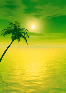 日落棕榈树