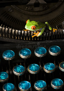 打字机上的青蛙图片