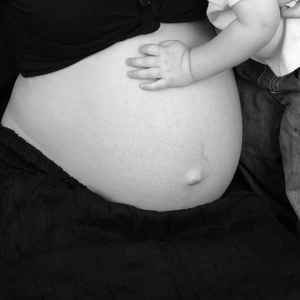 孕妇的胃