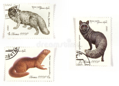 俄罗斯邮票野生动物图片