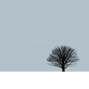 第一 领域 纸牌 孤独的 极简主义 风景 简单 孤独 自然