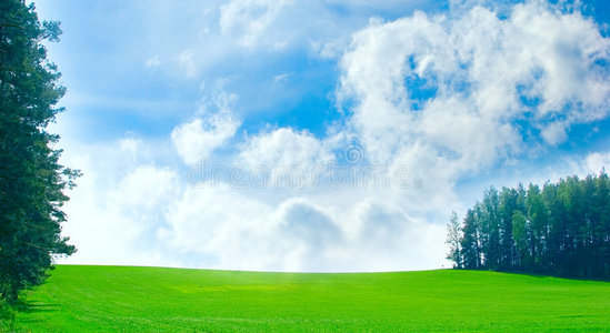 蓝天白云的绿地