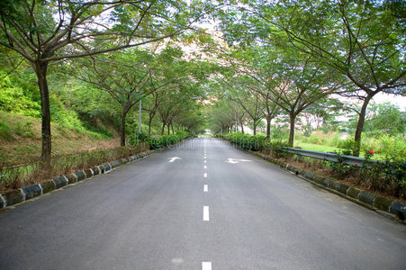 道路景观