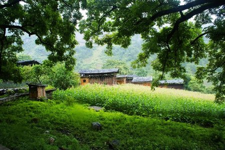 独龙族小屋图片