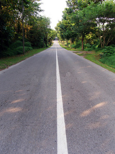 热带乡村道路