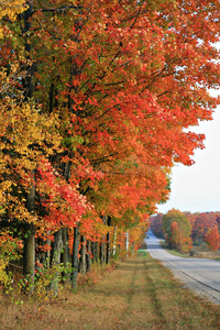 秋天的乡村风景画