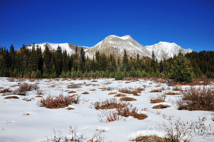 下载小样发票合同问题/举报切斯特山与森林雪山冰冷的湖岸山景落基