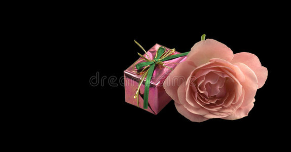 弗洛雷斯 花瓣 罗莎 盛开 卡片 礼物 激情 粉红色 颜色