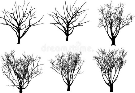 集合向量树