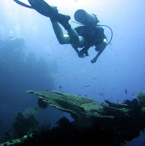 潜水员探索失事船只图片