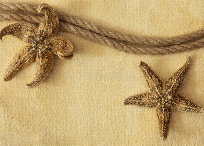 绳索和海星图片