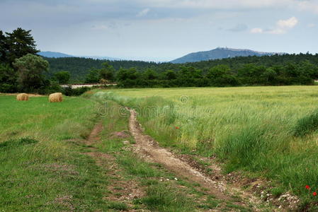 乡村公路