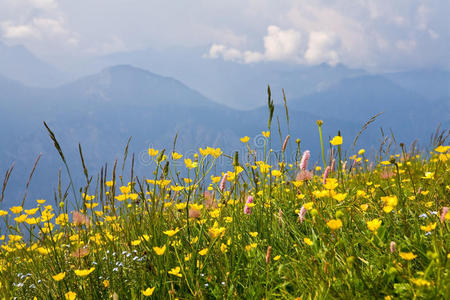 夏季阿尔卑斯山