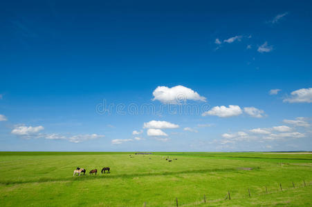 夏季背景