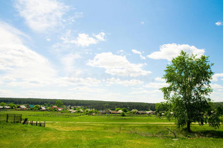 乡村夏季景观