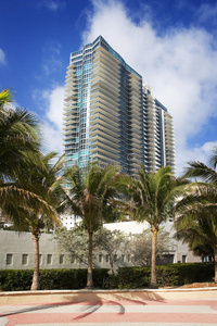 南岸的棕榈树和高层建筑图片