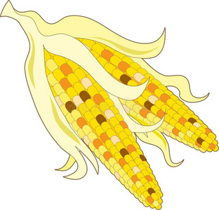 印度玉米