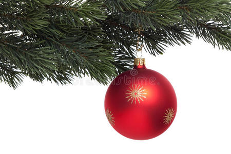 冷杉枝上的红色圣诞树球