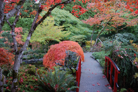 日本花园