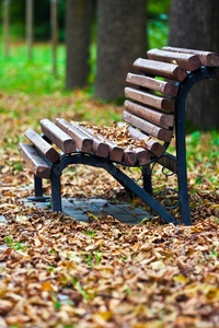 秋天公园的长凳