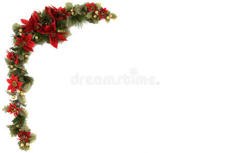 一品红与圣诞装饰界图片