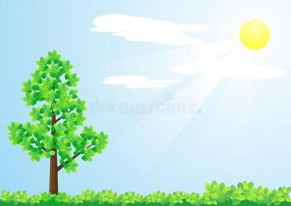树与太阳