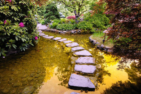 日本花园池塘