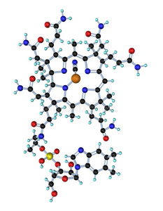 分子维生素b12 3d