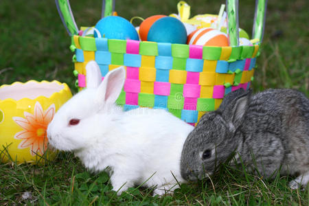 小复活节兔子