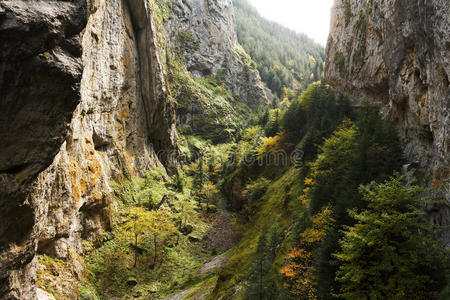 特里格勒峡谷底部图片