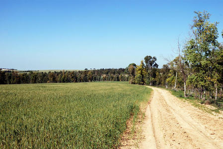 乡村公路