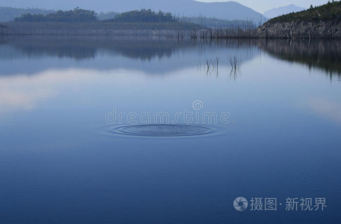 静静的湖水在薄雾中荡漾