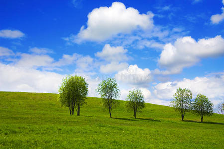 夏季景观