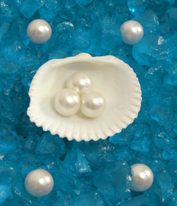 美丽的贝壳和珍珠