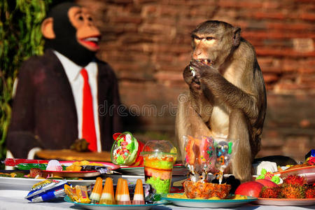 泰国罗布里猴自助餐节