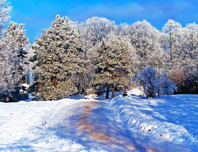 城市公园雪路