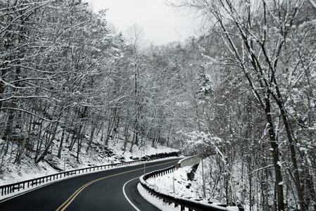 雪中有树的冬季道路