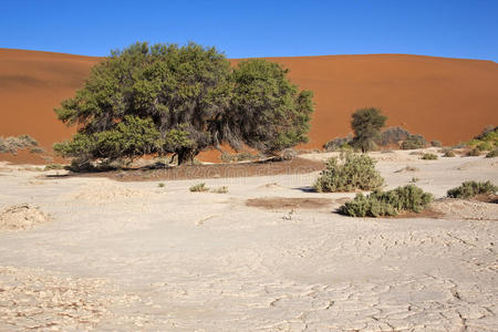 namib nuakluft沙漠纳米比亚