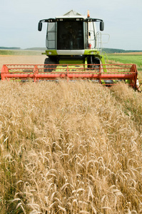 小麦收获联合收割机