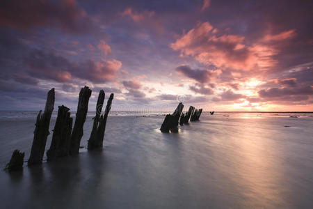地平线 紫色 反射 天堂 季节 公司 海洋 浪漫的 风景