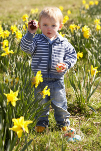 水仙花地里寻找复活节彩蛋的小男孩