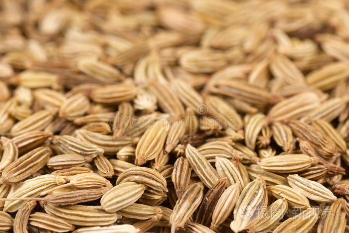 茴香籽