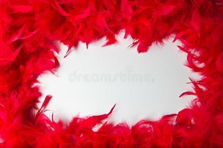质地和鲜红色羽毛的框架