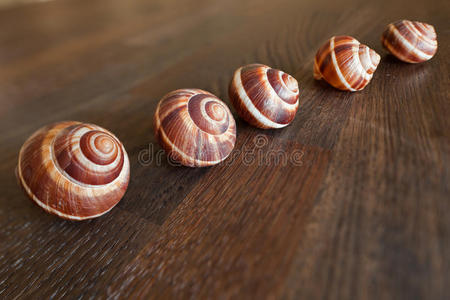 倾斜移动的蜗牛在一张木头桌子上。