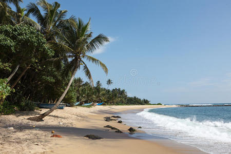 田园诗般的海滩。斯里兰卡