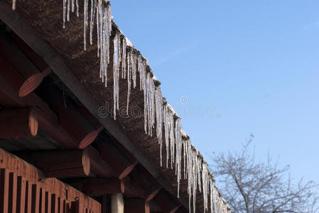 寒冷的 冬天 季节 闪耀 透明的 冰柱 天气 十二月 一月