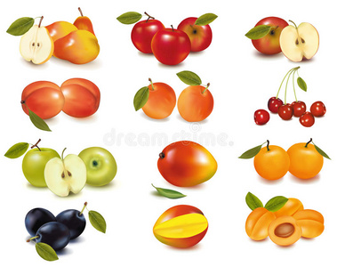 用不同种类的水果分组。矢量。