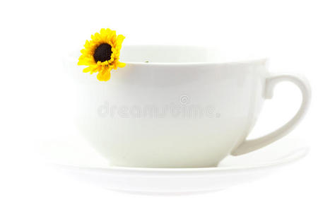 杯子和一朵黄色的花，白色的